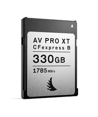 AV PRO CFexpress XT 330 GB