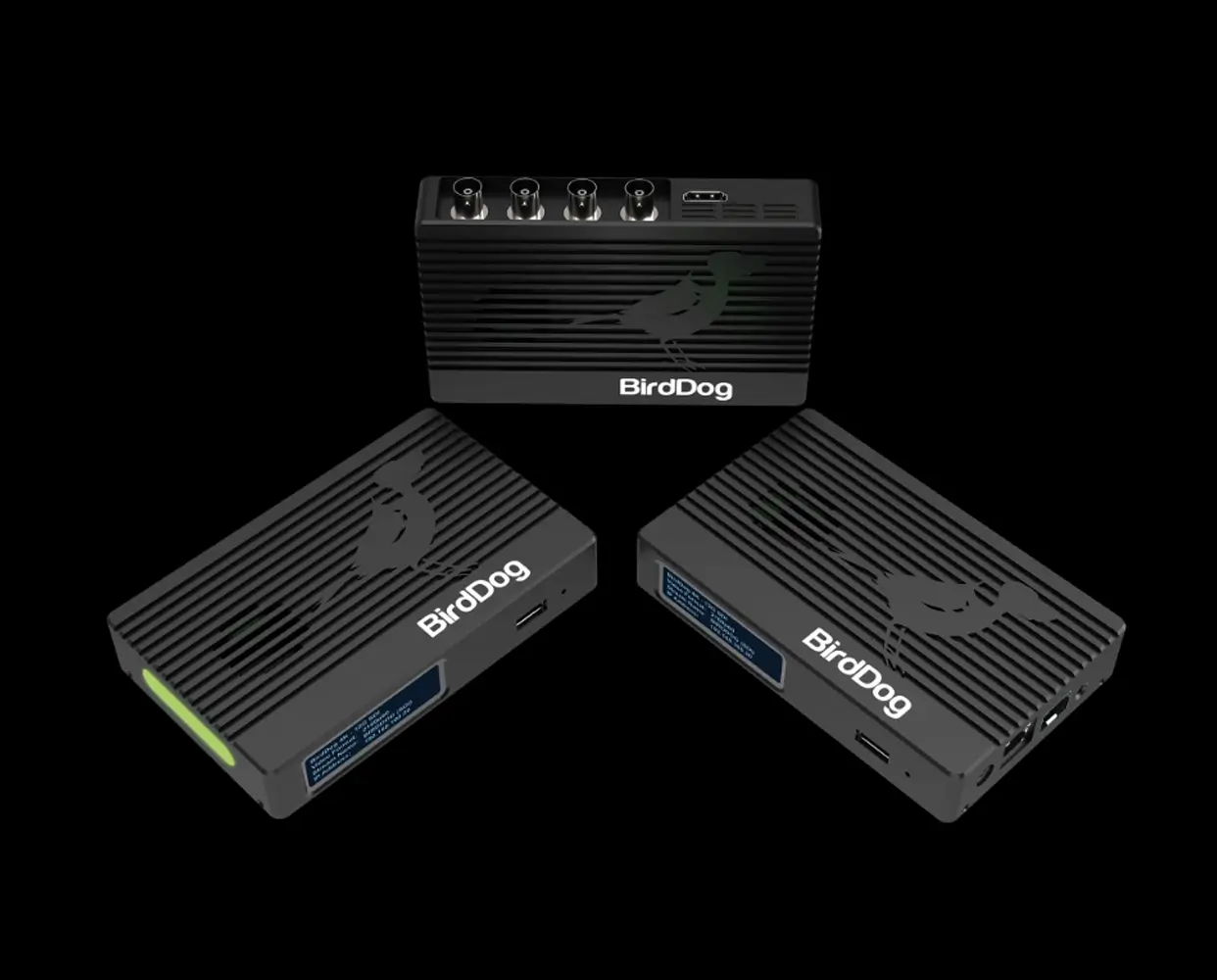 BirdDog 4K Family converters