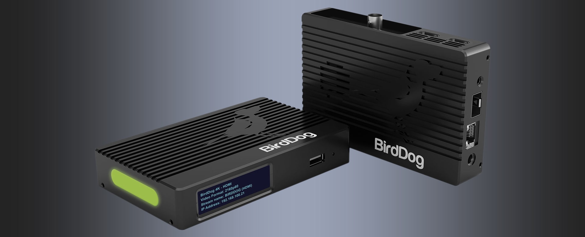 BirdDog 4K HDMI