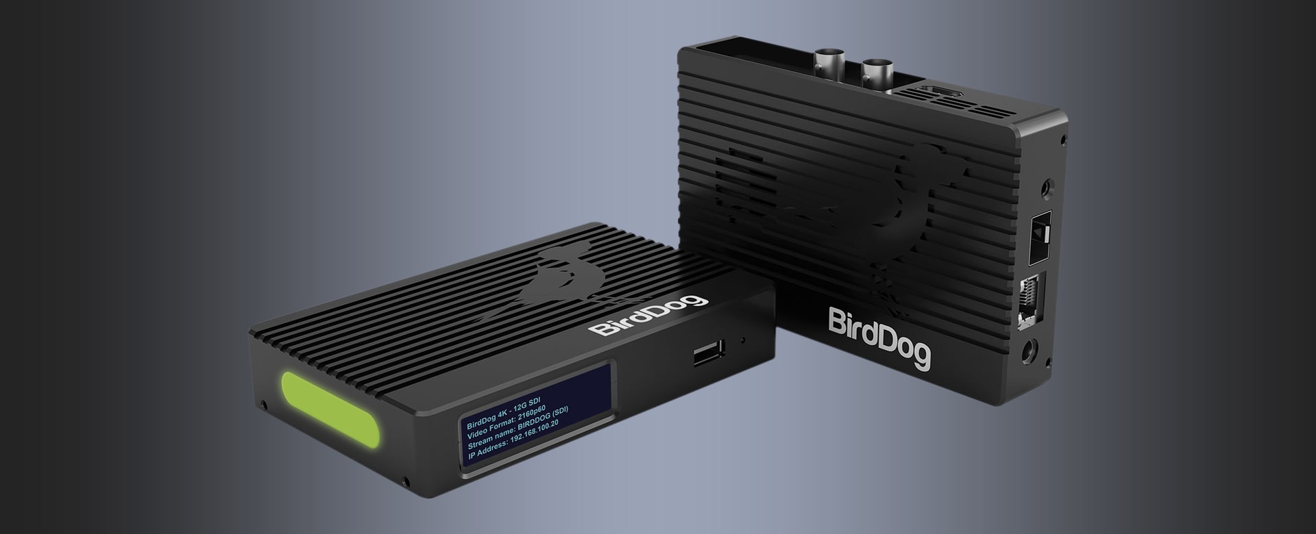 BirdDog 4K 12G SDI