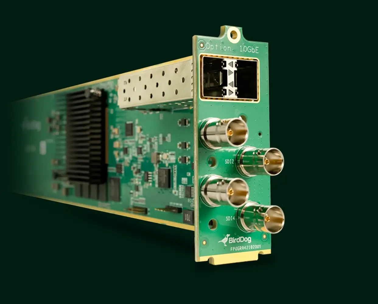 BirdDog OG4 openGear converter