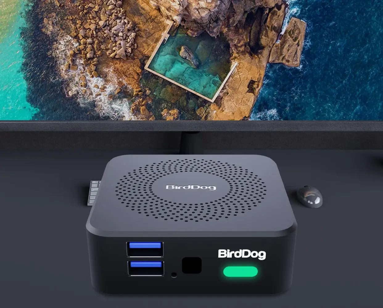 BirdDog PLAY PRO