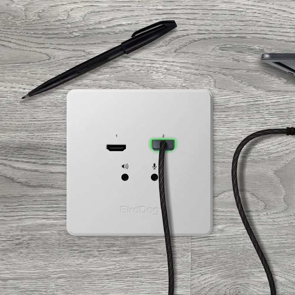 BirdDog Wallplate HDMI NDI