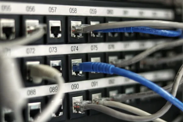 Ağ patch panelindeki Ethernet kabloları